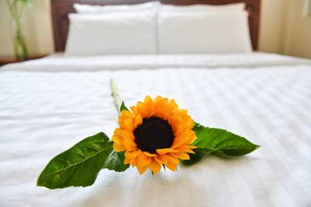 Vien Dong 2 Motel Da Nang Eksteriør billede